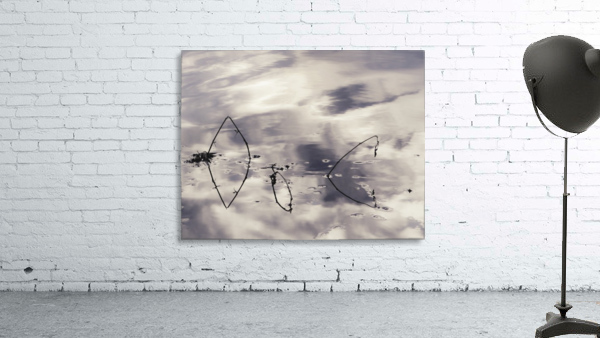 Branches on Lake Wall Preview