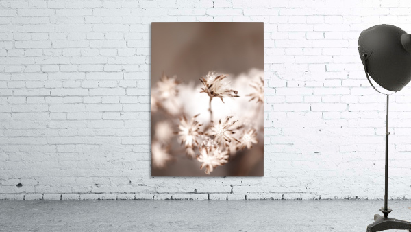 Fuzzy Flower Wall Preview