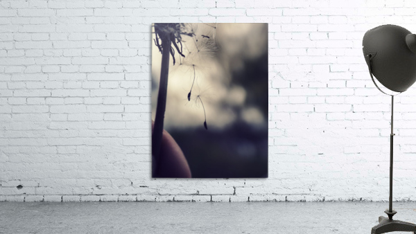 Dandelion Falls Wall Preview