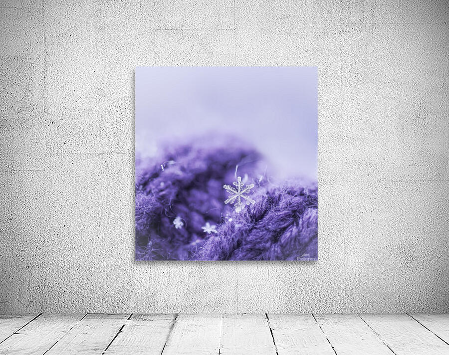 Purple Snowflakes Wall Preview
