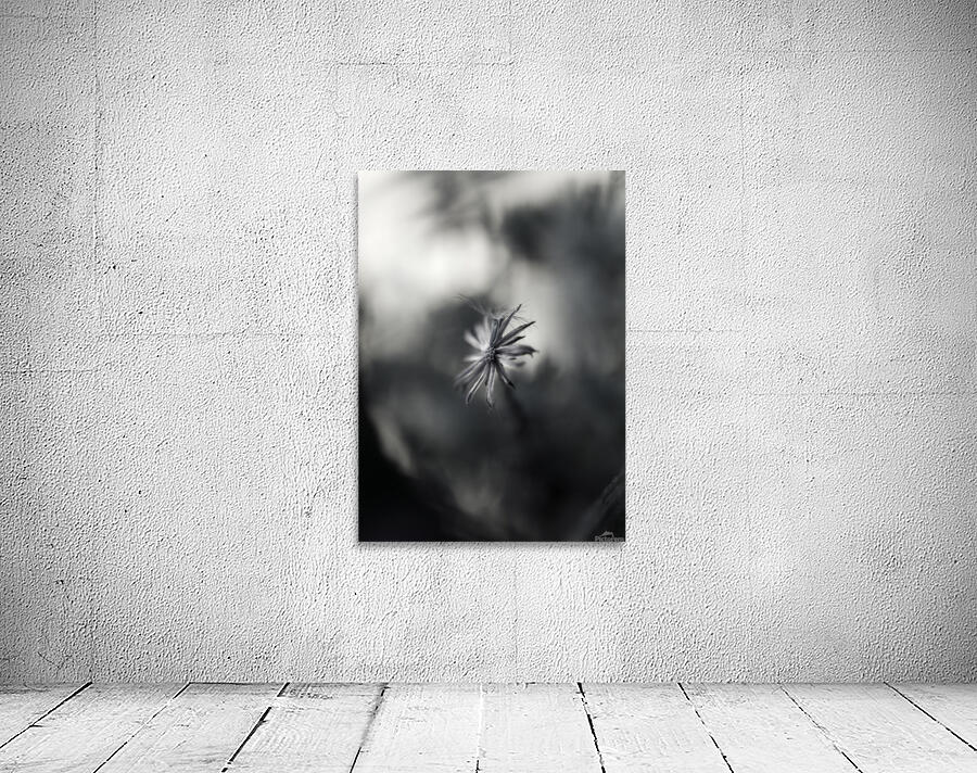 Single Flower Wall Preview