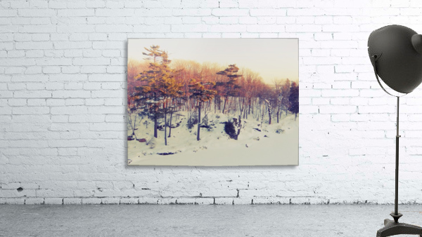 Winter Sunset Wall Preview
