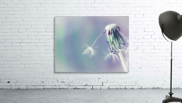 Falling Dandelions Wall Preview