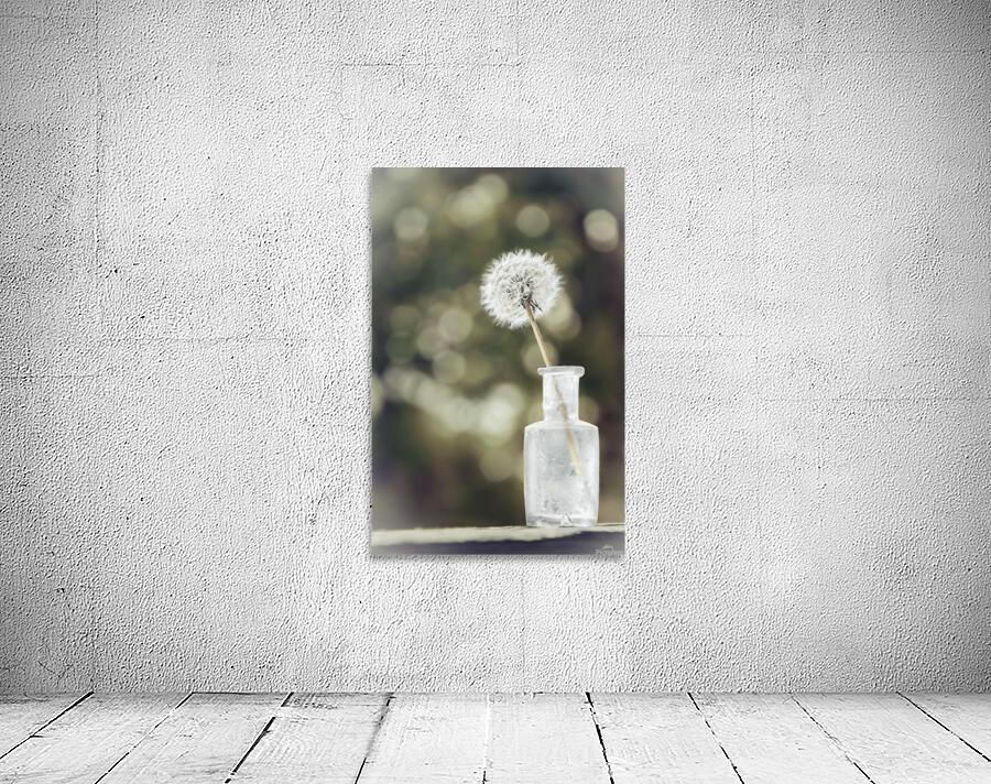 Sepia Dandelion Wall Preview