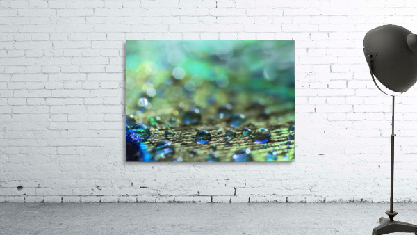 Shimmering Peacock Feather Wall Preview
