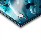 dolphins Acrylic print