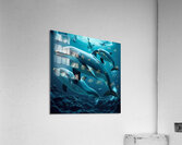 dolphins Acrylic Print