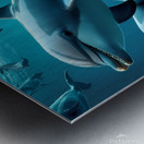 dolphins Metal print