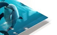 dolphins HD Metal print
