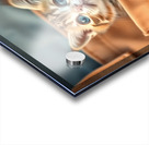 asm pocket cute cat b40f3033 7a7d 43c4 afa7 6bef1 Acrylic print