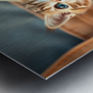 asm pocket cute cat b40f3033 7a7d 43c4 afa7 6bef1 Metal print