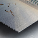 Leonardo Phoenix 09 A serene aerial view of a pic Metal print