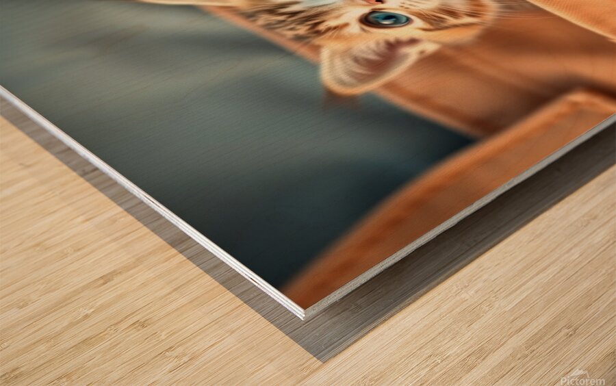 asm pocket cute cat b40f3033 7a7d 43c4 afa7 6bef1 Wood print