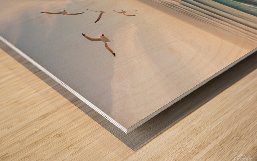 Leonardo Phoenix 09 A serene aerial view of a pic Wood print