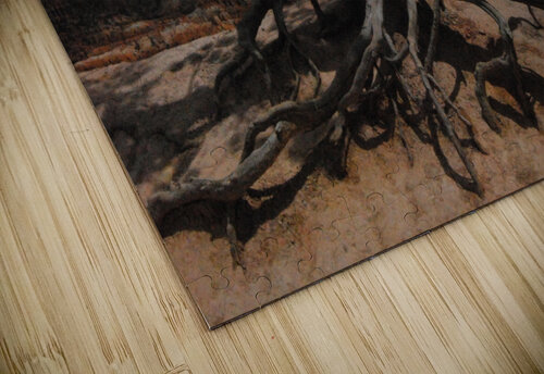 Weathered Tree Bryce Canyon Peter DiFranco puzzle