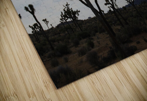 Joshua Trees Peter DiFranco puzzle