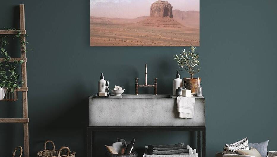 Monument Valley In The Dust-3 by Peter DiFranco