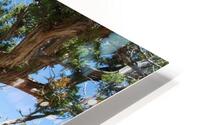 Grand Canyon-2 HD Metal print