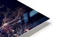 Night Tree HD Metal print