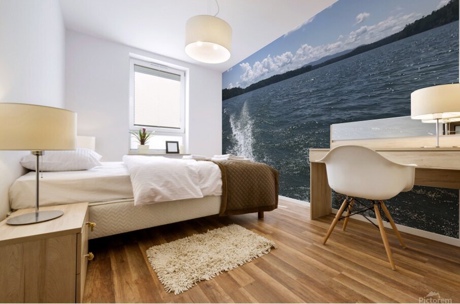 IMG 1165 Mural print