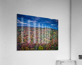 Fall Acrylic Print