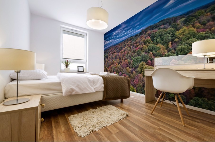 Fall Mural print