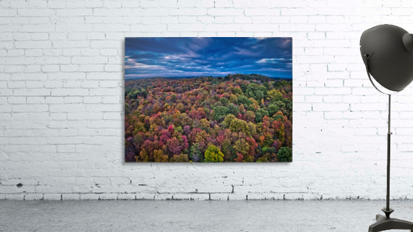 Fall Wall Preview