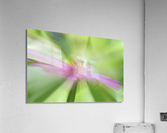 BeeRuptive Acrylic Print