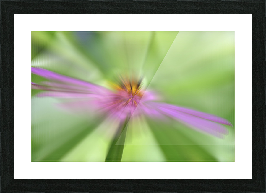 BeeRuptive Picture Frame print
