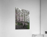 IMG 1563 Acrylic Print