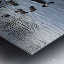IMG 1127 2 Metal print