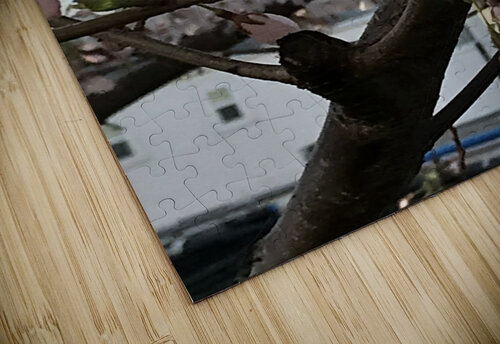 IMG 1478 2 Diana Samir Bayoumi puzzle