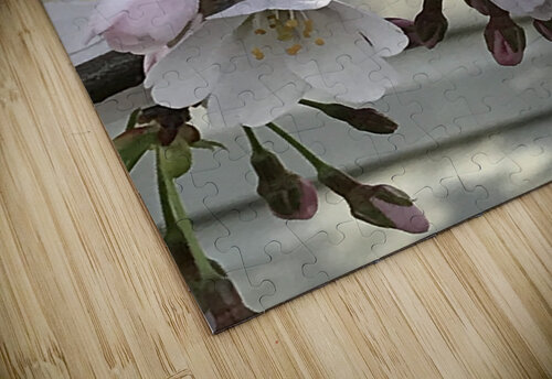 IMG 1489 2 Diana Samir Bayoumi puzzle