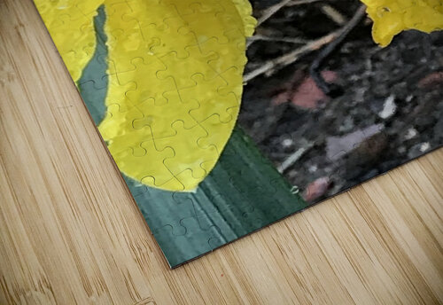 IMG 1391 2 Diana Samir Bayoumi puzzle