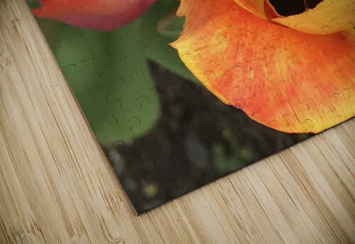 IMG 0734 Diana Samir Bayoumi puzzle