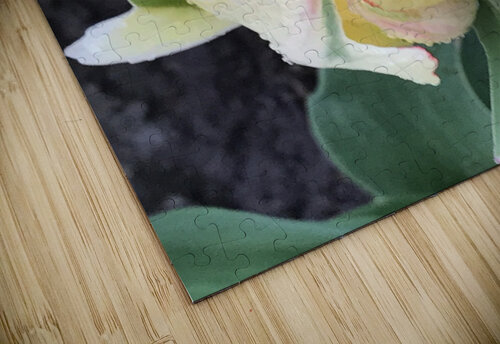 IMG 0685 Diana Samir Bayoumi puzzle