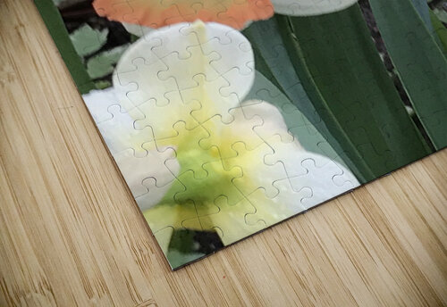 IMG 0701 2 Diana Samir Bayoumi puzzle