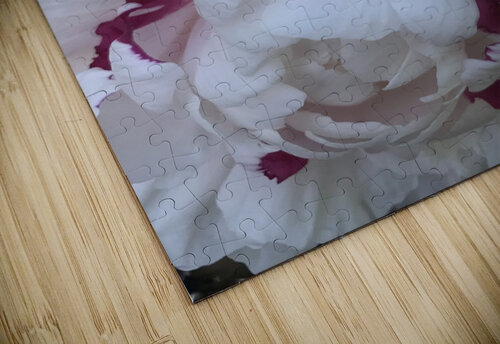 IMG 0827 2 Diana Samir Bayoumi puzzle
