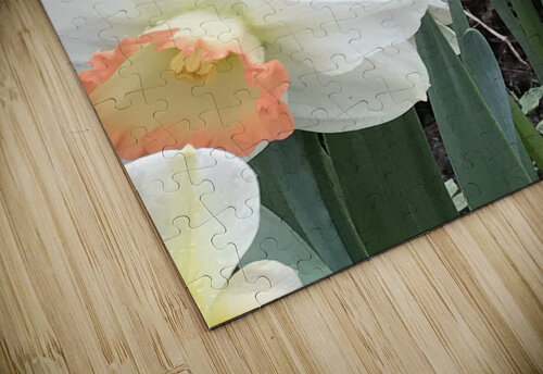 IMG 0702 2 Diana Samir Bayoumi puzzle
