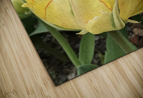IMG 0730 2 Diana Samir Bayoumi puzzle