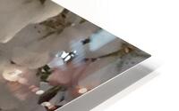 IMG 1478 2 HD Metal print