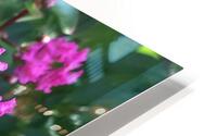 IMG 1099 HD Metal print