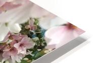 IMG 1545 HD Metal print