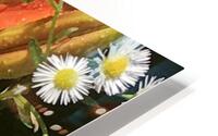 IMG 0933 2 HD Metal print