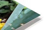 IMG 1391 2 HD Metal print