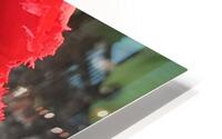 IMG 0733 HD Metal print