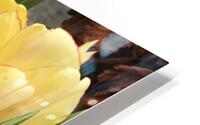 IMG 0730 2 HD Metal print
