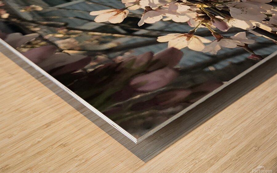 IMG 1491 2 Wood print