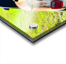 Chevy.3 Acrylic print