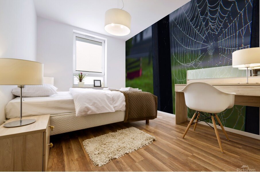 Morning Dew Mural print